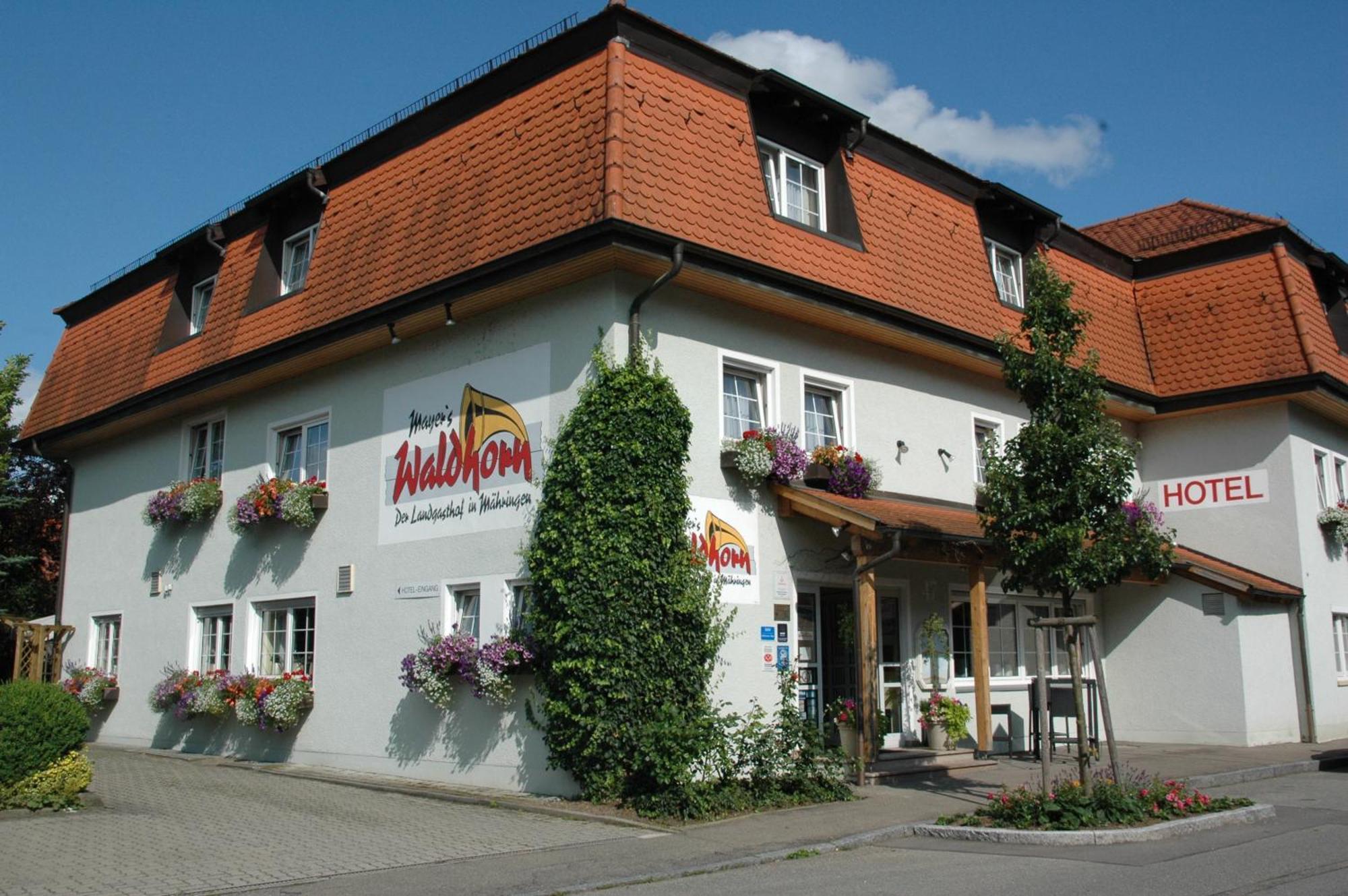 Mayers Waldhorn - Zwischen Reutlingen Und Tuebingen Kusterdingen Esterno foto
