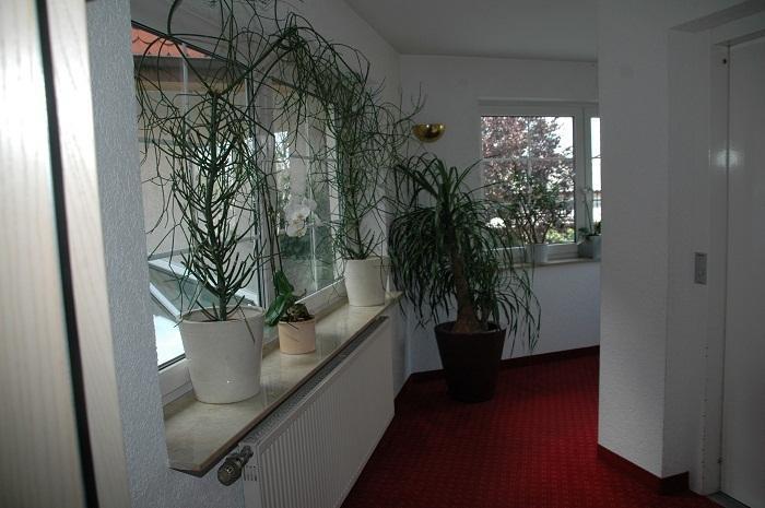 Mayers Waldhorn - Zwischen Reutlingen Und Tuebingen Kusterdingen Esterno foto
